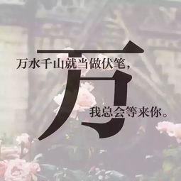 用你的姓氏做一个专属的姓氏微信头像,看看有没有你的姓氏