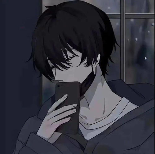 宝藏珍藏的男女生动漫头一眼爱上