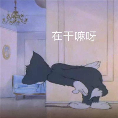 个性带字猫和老鼠经典表情包打打闹闹却又不离不弃