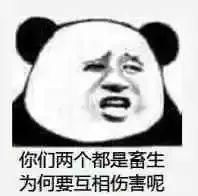 文明搞笑怼人十足熊猫头表情包这么厉害啊要不要去村口摆几桌