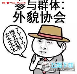 自我介绍搞笑表情包下载自我介绍爱好是吃性格是懒表情包高清无水印版下载飞翔下载