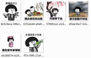 抖音狼烟风沙口表情包大全