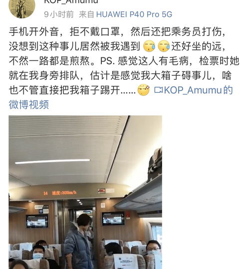女子乘高铁不戴口罩开外放,踢踹座椅打伤乘务员,扬言老公亲自来接站
