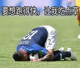 世界杯爆笑表情包合集2018世界杯爆笑表情包大全最新版极光下载站