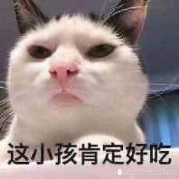 怎么肥四00后都在用沙雕柠檬背景图图三公认火爆快换