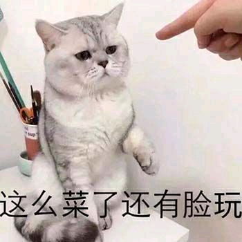 哔哩哔哩专栏
