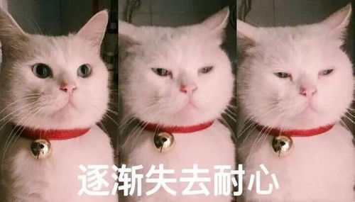 重点今年端午高速不免费这份出行指南收好