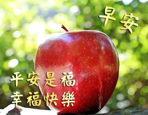 漂亮早上好动态表情图片大全2022最新版早上好动态图片带鲜花
