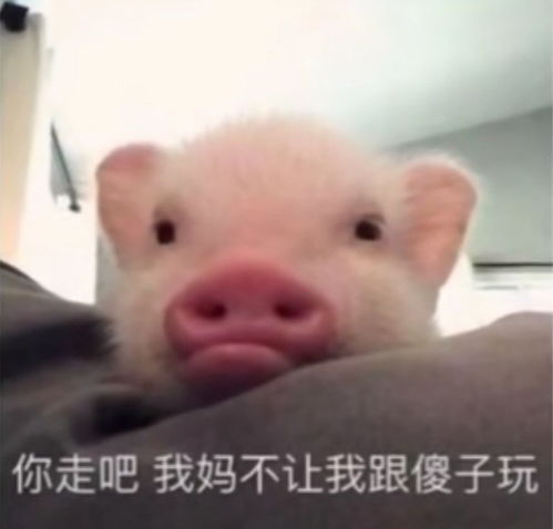没有十年老血栓,问不出来的问题
