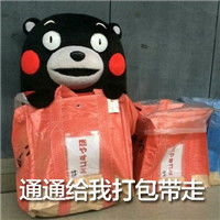 熊本熊表白专用可爱表情包打打打劫严肃点图片浏览