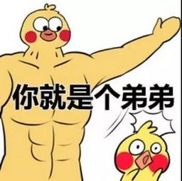 表情包,抖音七彩小黄鸭全套表情包哪里有