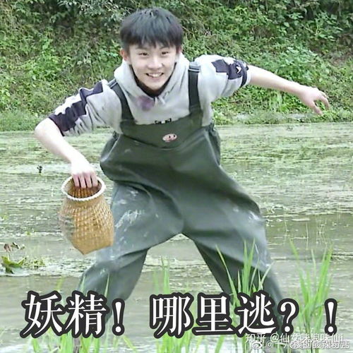 马嘉祺怎么样正吗苗红吗养成可以搞吗