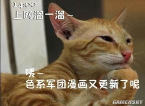 喵的就是老娘不想上班周二午间轻松一刻
