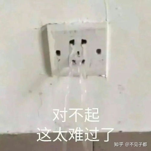 买四条假面骑士沃兹腰带,四条时王腰带,两条零一腰带,两条创骑,两条e总,一条故障和僵尸花费上万,值吗