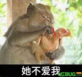 抖音她爱我她不爱我系列表情包套图分享