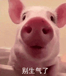 沙雕表情包i别上班了我养你啊