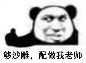 表情包图片搞笑沙雕作业