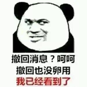 搞笑表情包送给那些爱撤回消息的人
