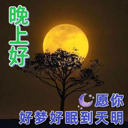 晚安祝你好梦表情包