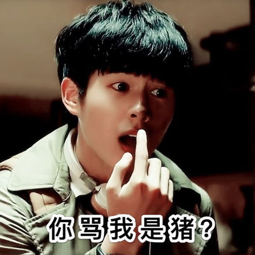 有刘昊然的壁纸或表情包吗