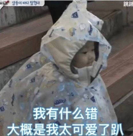 斗图表情包合集你的小宝贝不在,你爹在