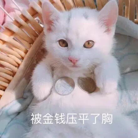 10月了所以双十一你准备买什么