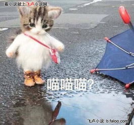 10精英上忍来袭火影之终极寻宝系统