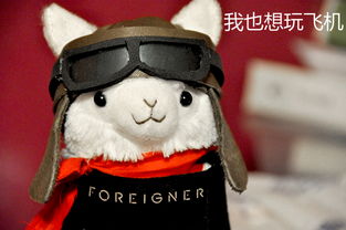 搞笑的表情图羊驼