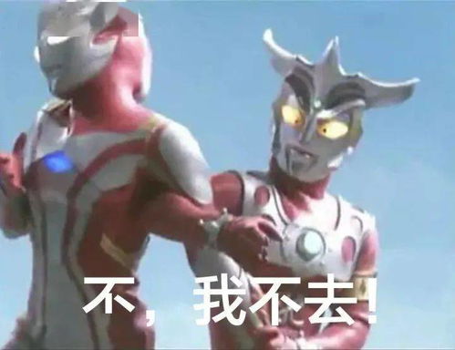 抖音热门表情包