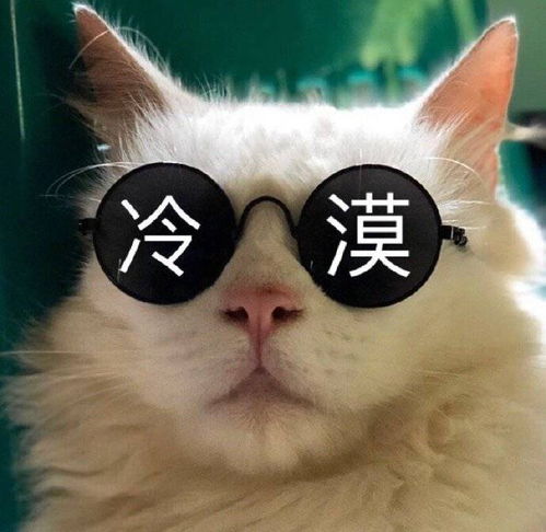 我有槽不吐不快我发现有人暗恋我以后