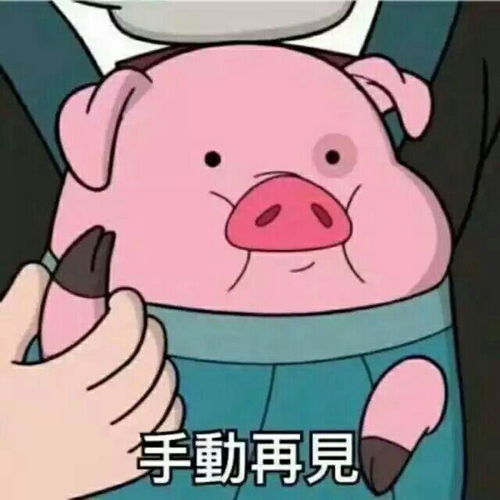 颜值太高是什么体验