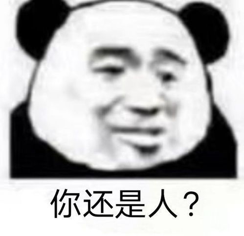 搞笑可爱沙雕表情包分享