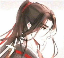 魔道祖师精选套图只羡忘羡不羡仙,说是天天就天天