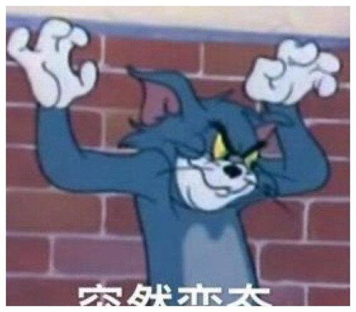 搞笑gif比你漂亮的人还在努力,而你还在努力变漂亮