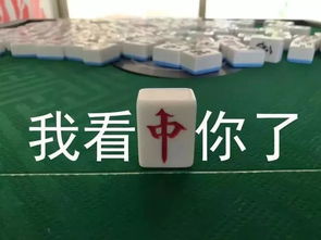 点解番禺人中意打麻将