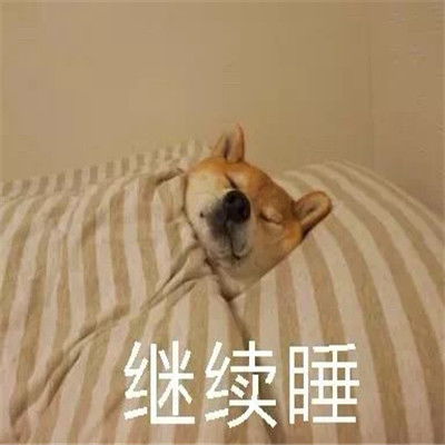 起床了表情包搞笑图片柴犬