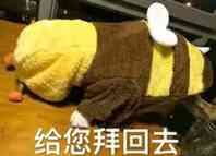 有什么比较有趣的拜年表情包