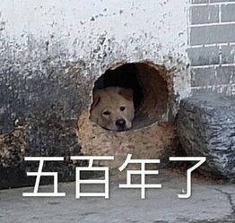 谁的人生没有几个热血真朋友彭昱畅跟兄弟间的感情我慕了