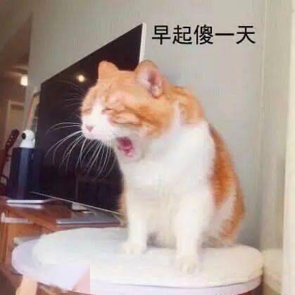 沙雕表情我心爱的狗东西在吗