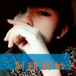 随心照片随心相册大全yy官方