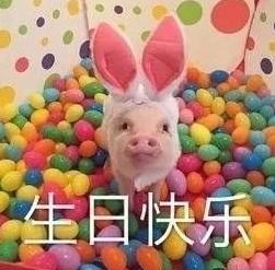 生日快乐表情包搞笑幽默点击进来收获快乐沙雕表情包