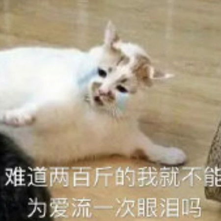 超级戏精表情包上了我的床,走路都要扶着墙