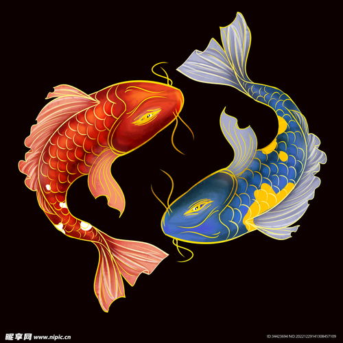 金鱼设计图
