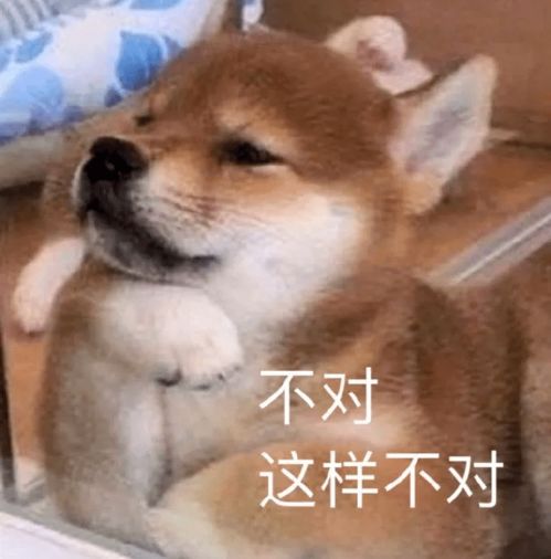 可爱搞笑的聊天表情包