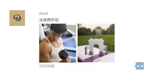 晒录取通知书的朋友圈有多好笑文案花样百出,表情包让人笑出声