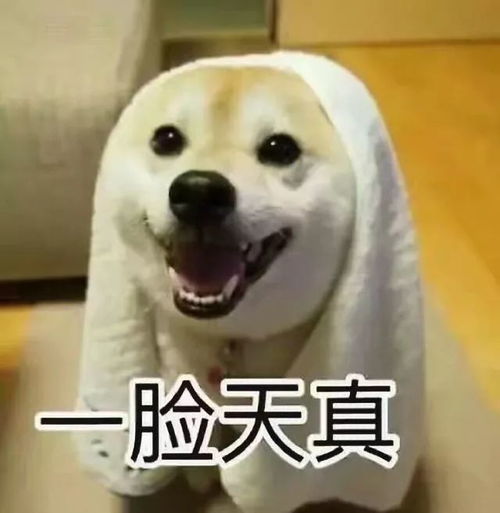 有一种代沟叫做爸妈让我解释表情包