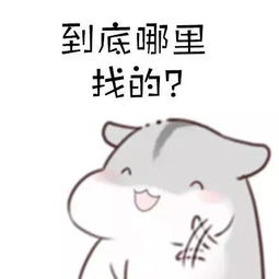 这样的男朋友请给我来一打