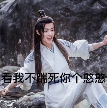有钱哥哥肖战表情包