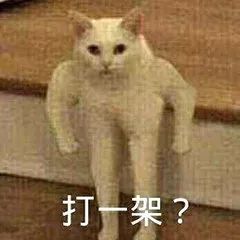 微信表情大全动态搞笑表情