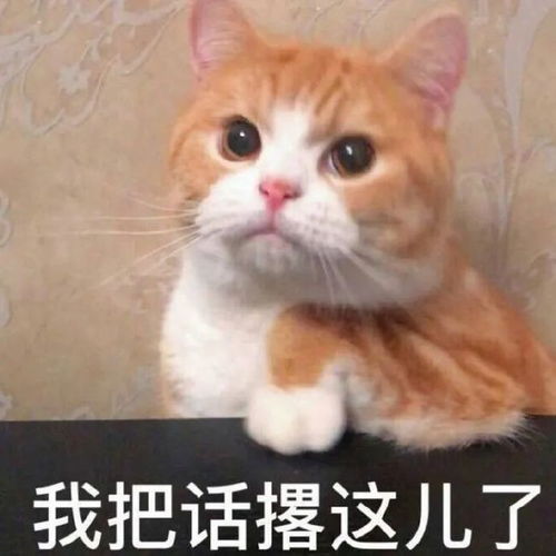 沙雕搞笑表情包对象又没有干饭总得行吧